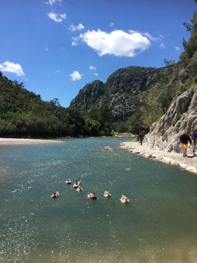 Отель Billur Pension Чирали Экстерьер фото